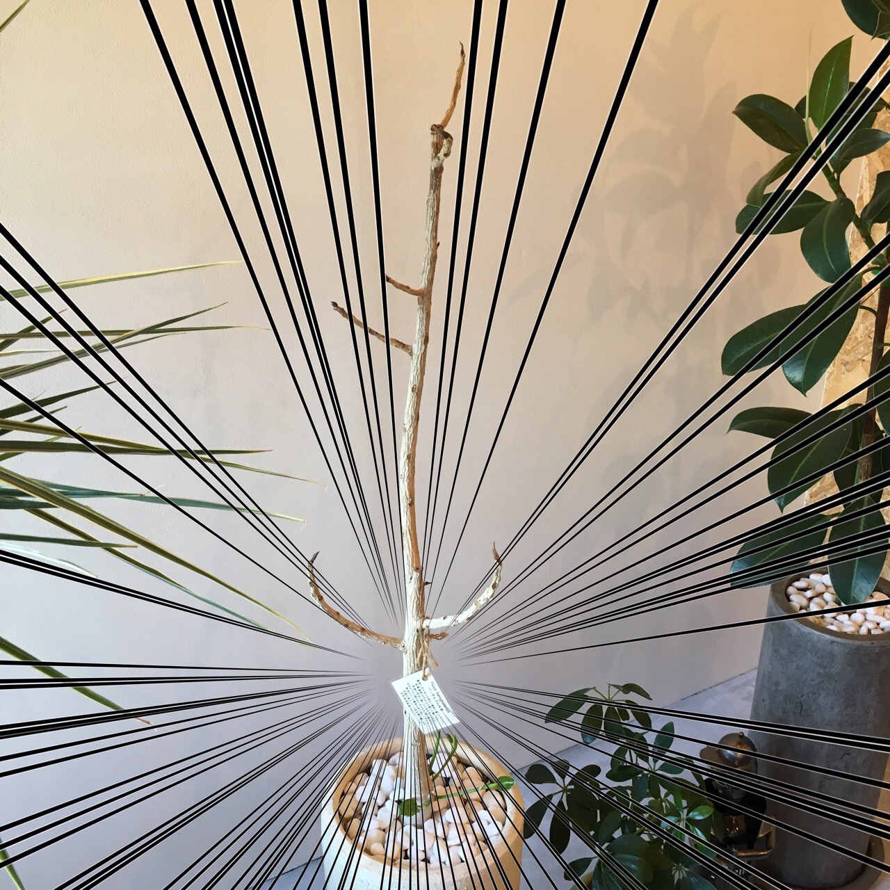 67E9A13B-7C7D-427D-978A-75F41DE505B0