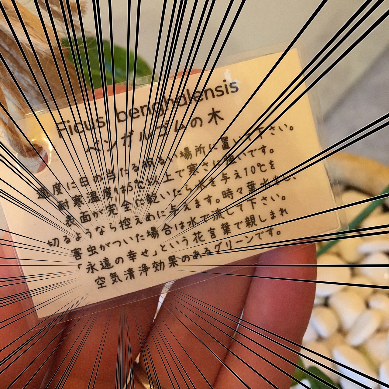 71267DEA-FFE2-4599-8110-D197BF04B358