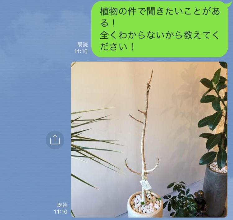 77AF58CF-6A57-48D0-9FAA-906609BDDF36