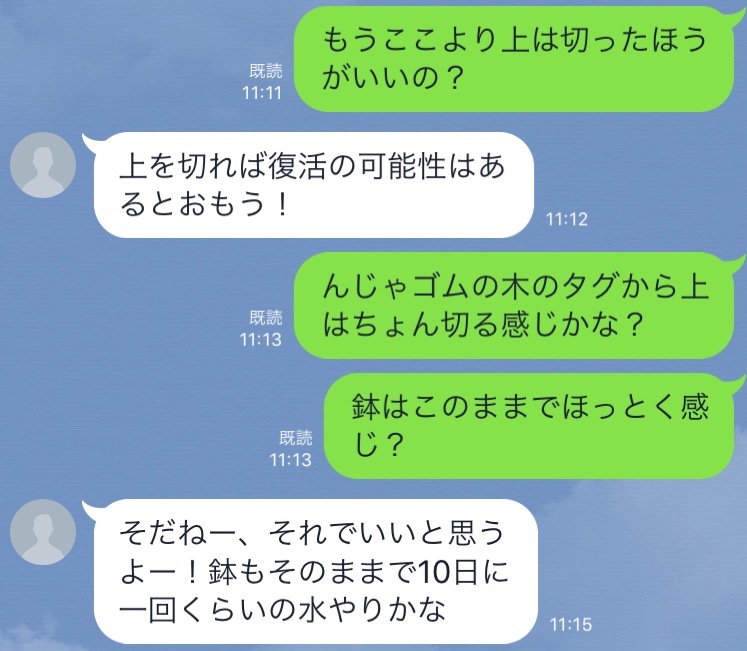 C6802537-FAA1-4C9C-A274-E700D7892F75