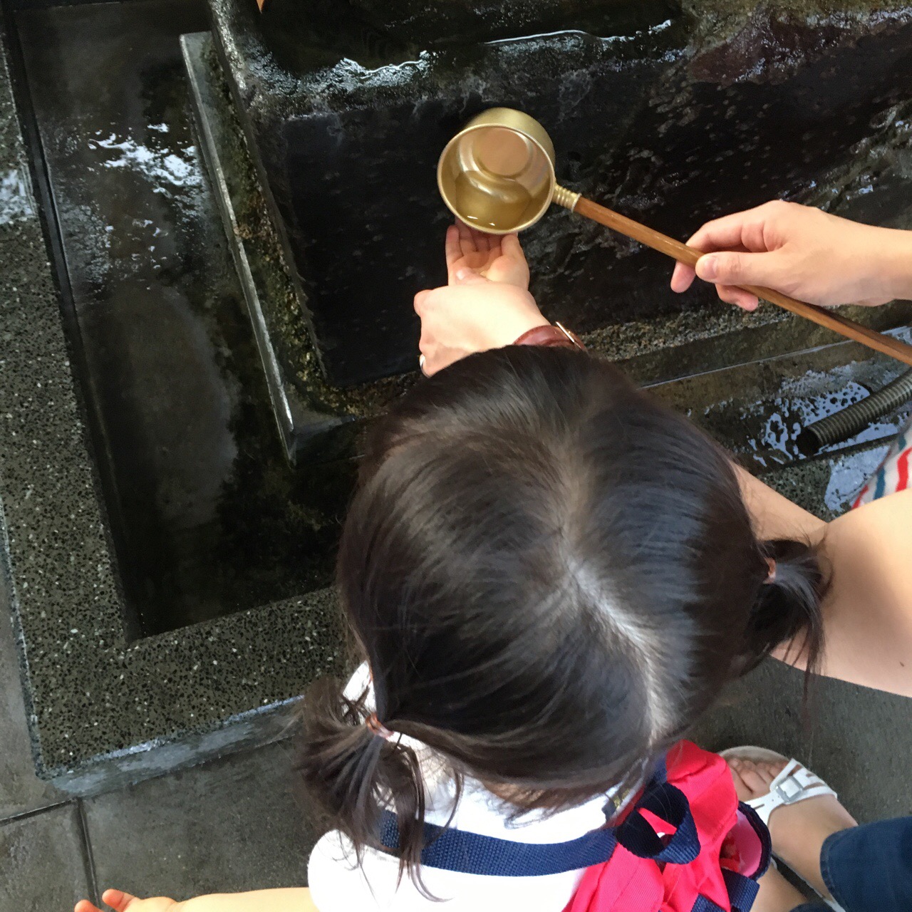 44BF3380-36B1-43E7-B00F-3E2DB305463E