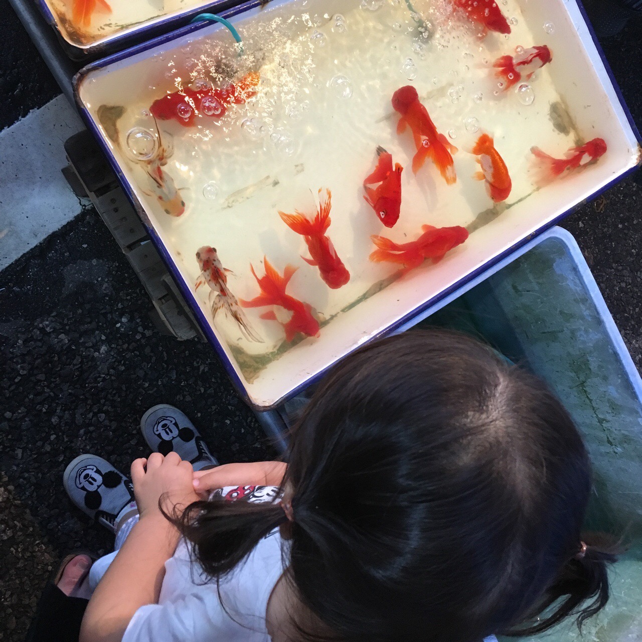 8E78E7E6-931E-482E-851F-8733D4FF450C