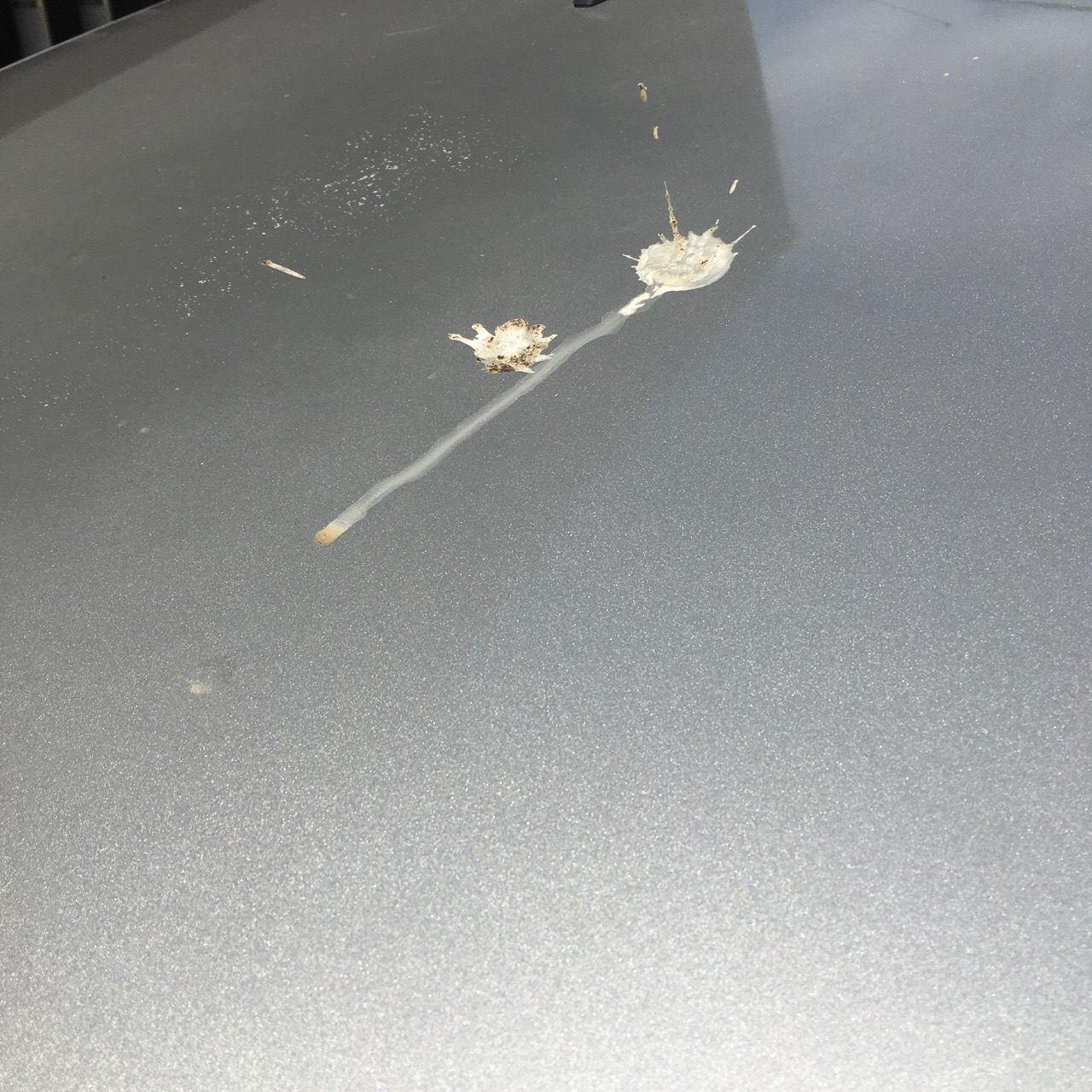 D45F81D6-4AA0-4AFF-BC23-DA6CEE110B9E