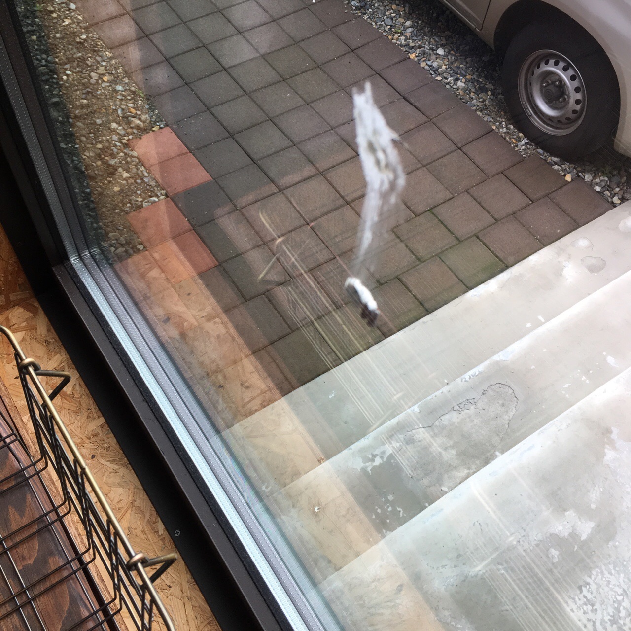 FEDF8933-7AF7-402B-9458-B9C2EC3A65A8