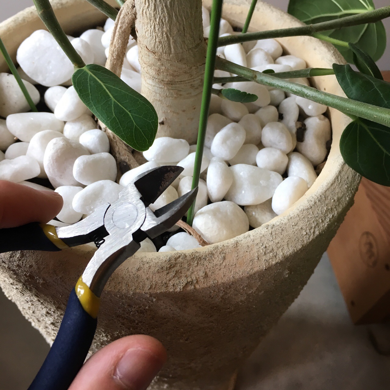 1E78CFE8-F8FE-4616-A826-30802458F634