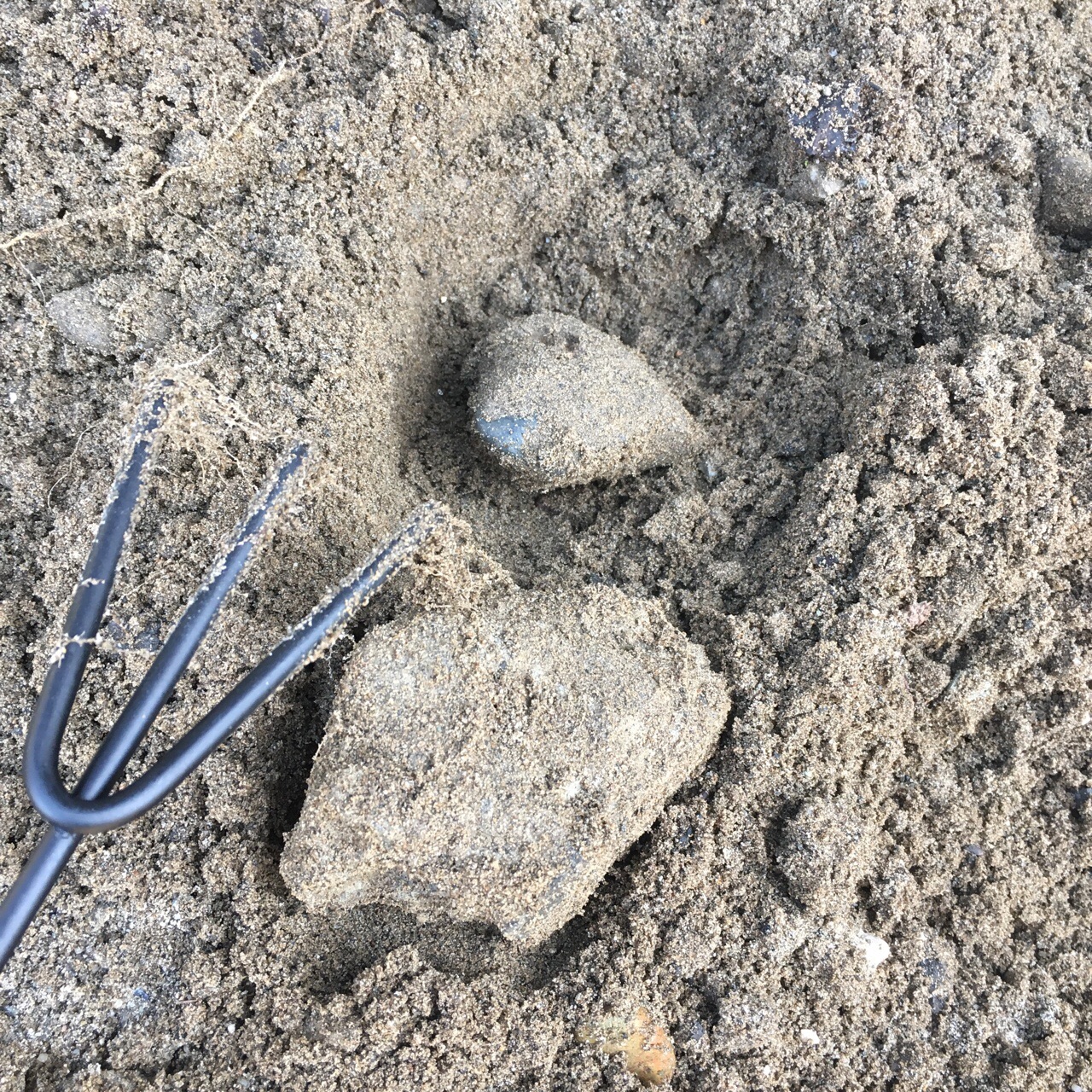 658AC347-B061-4845-B480-97A5383C1DE3