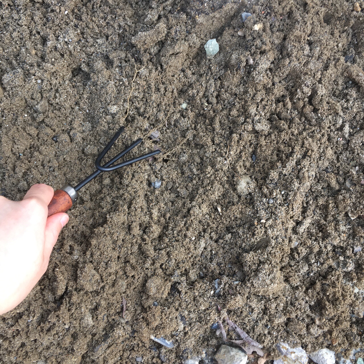 7ED8FD5F-348A-4936-94AB-7DE8D8DFD51F