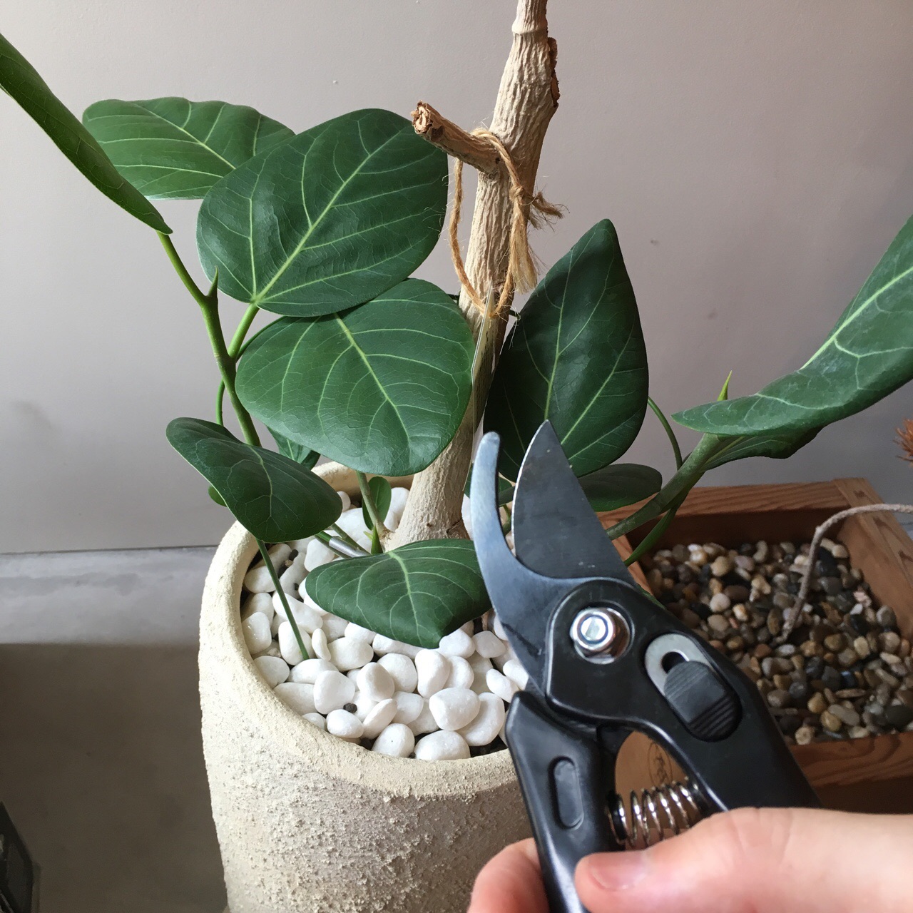 8E07A264-9C65-496B-B0BF-64810AC9959B