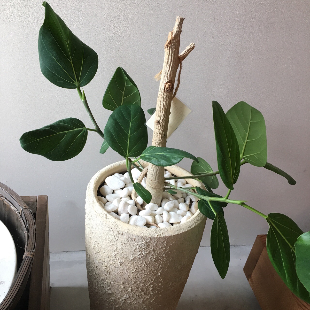 BF565E58-CA24-4805-A3C0-4BDC0F5742D8