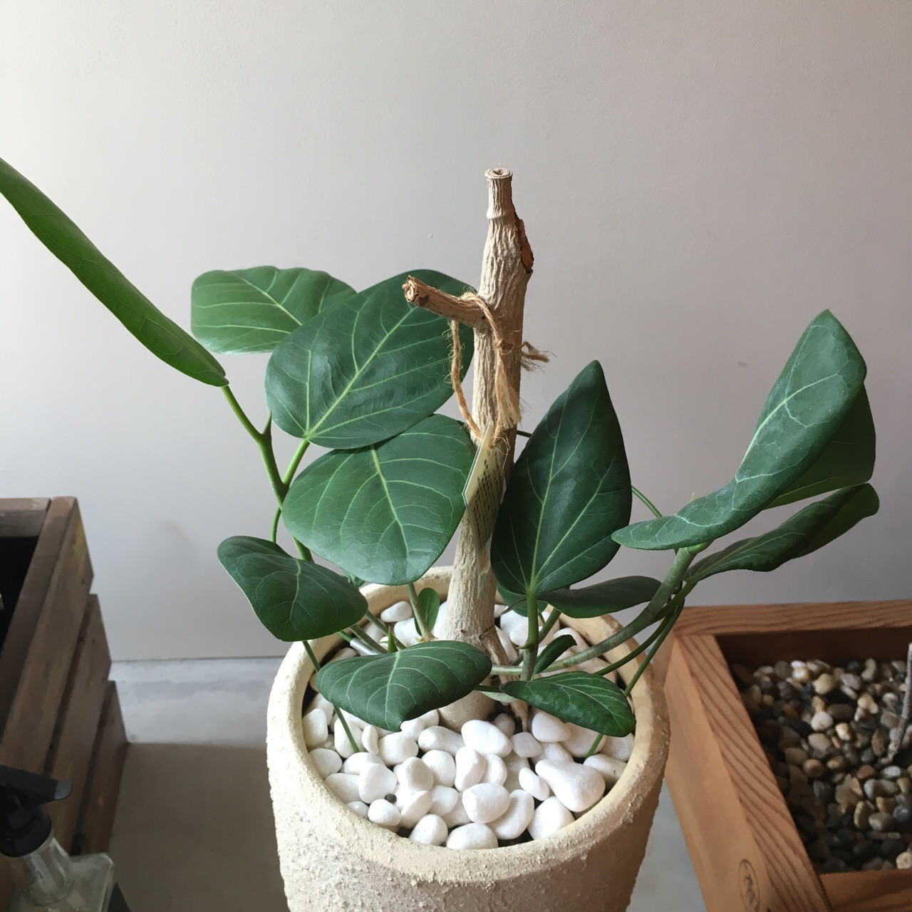 C24E98DB-EB37-4F20-BE60-96C591AC6186