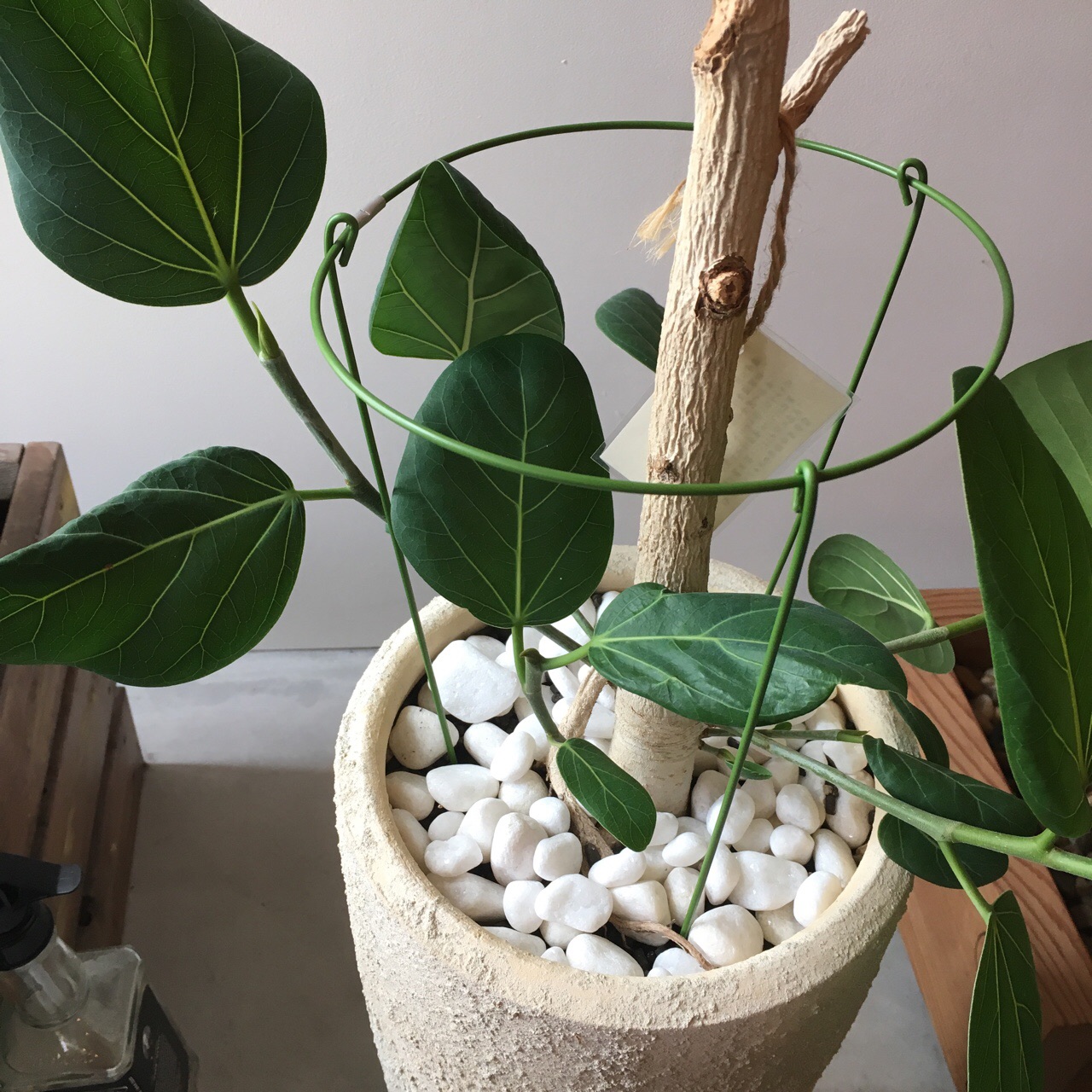 EA56D030-219A-4420-84DA-D6163E9F42DE