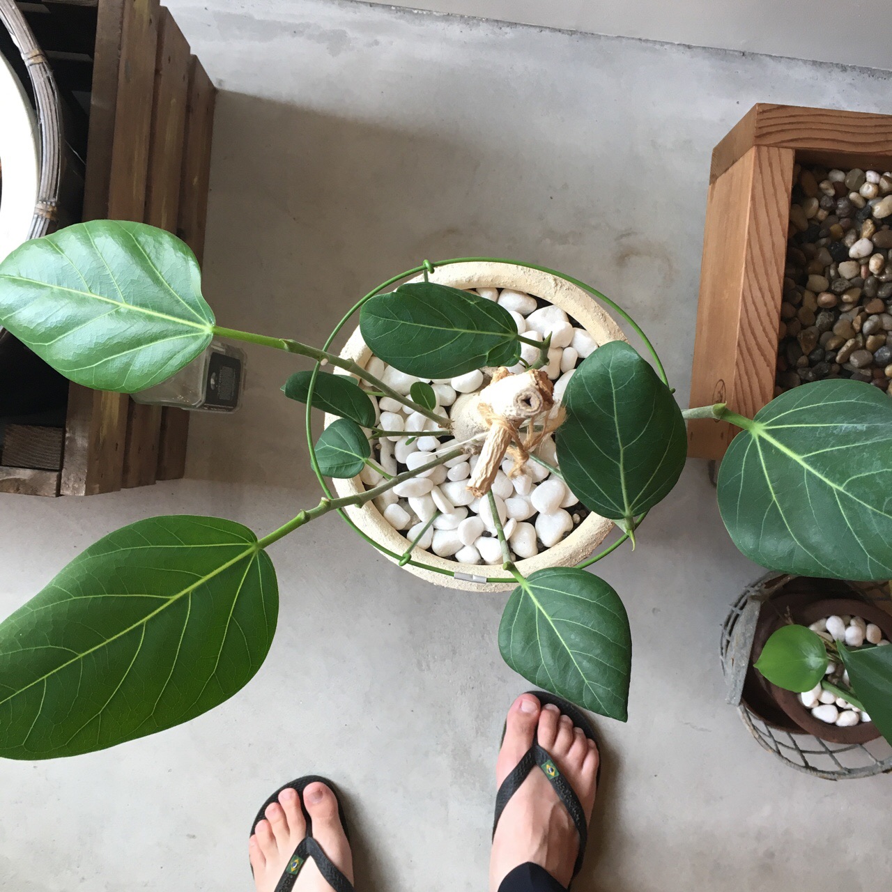 EFCFF205-26E3-4FA1-BACE-F2DF36FF3DC8