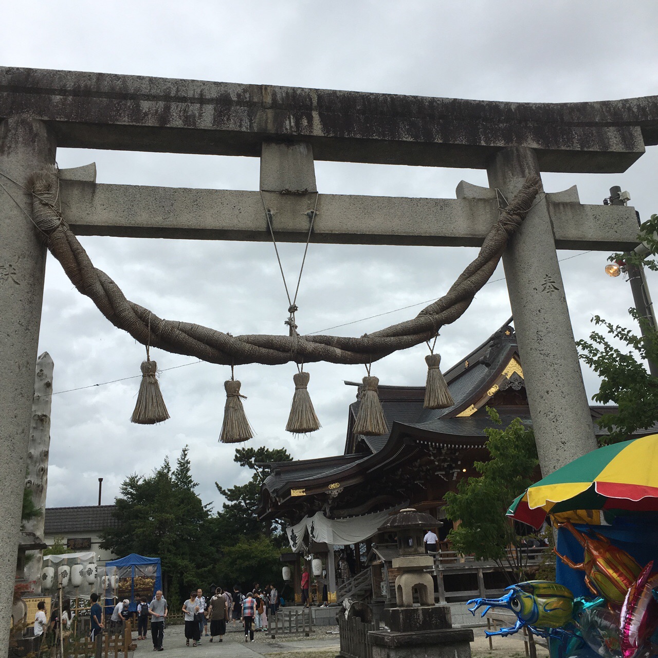 3E882CE7-F512-476C-9FD4-9CEFCF6DB433