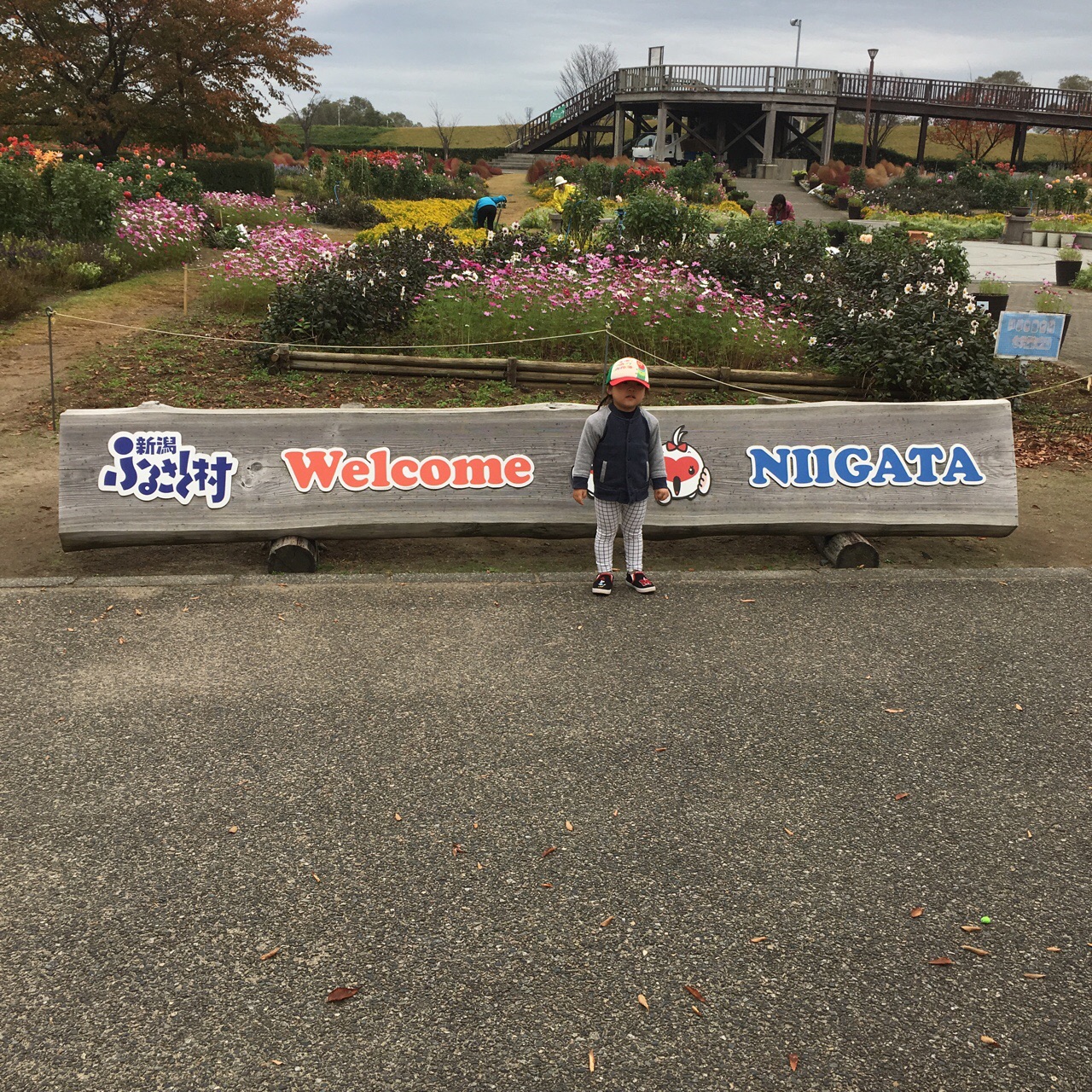 B4FA0A7B-E20E-41AB-B68A-A1D6BA68F210