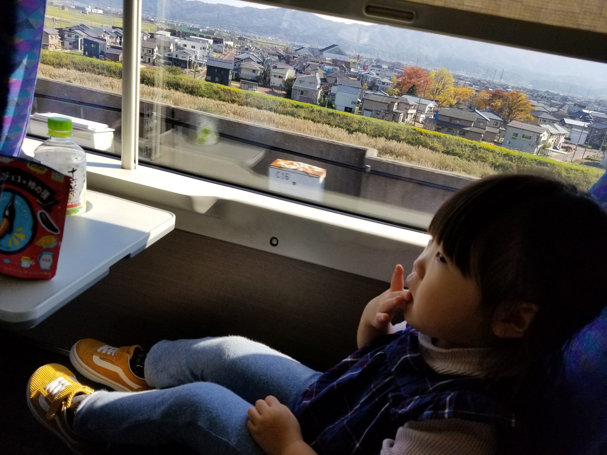 D76F7A1B-9748-4874-9996-F1698CFFE44C