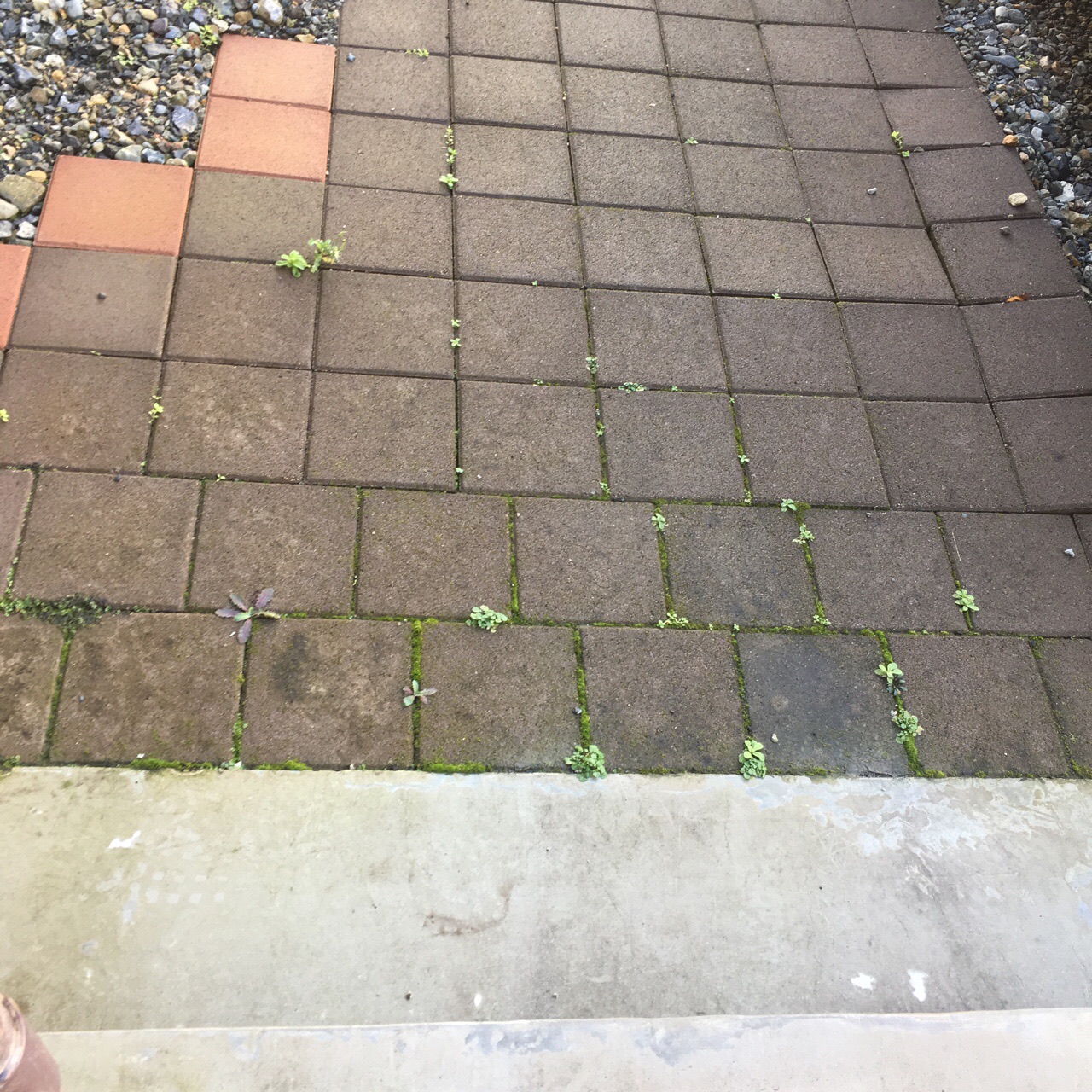 D7B9BF65-EC48-4960-AE50-E69586EDFF43