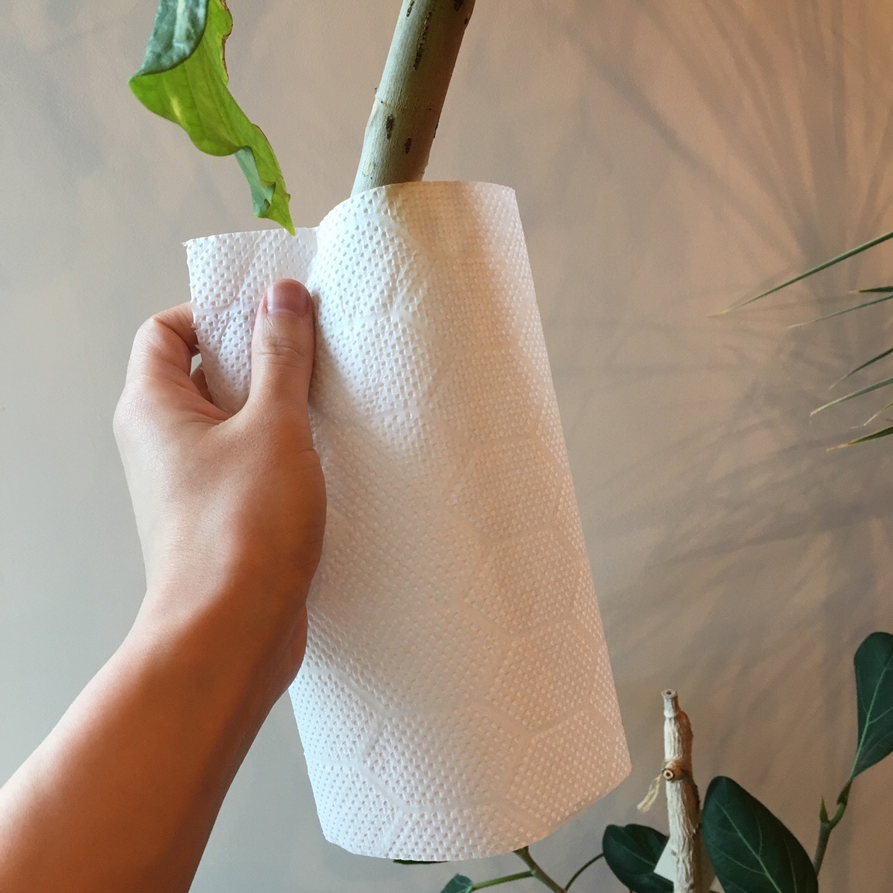 0C92191B-0840-4783-82BB-D7EE7D690D72