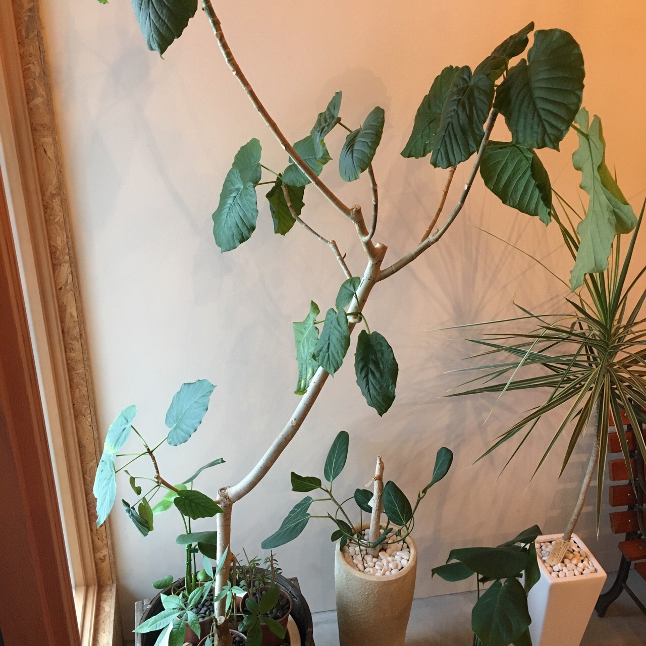 3618E9CD-BE3A-43B0-9192-BDB71EE4A0E4