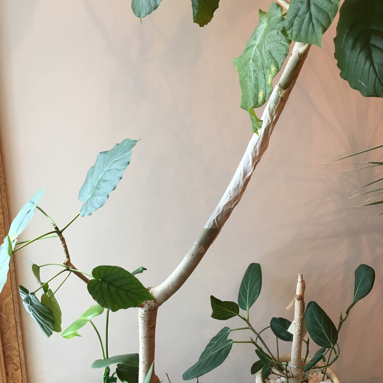 6EBBCDD4-F7CB-4643-B1D0-A7D6C0130846