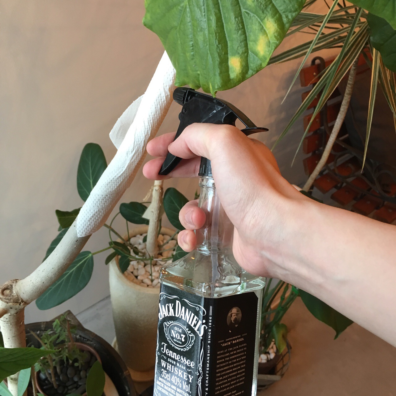 7DFC2ADA-48F9-40F8-BBD5-84A788A022FA