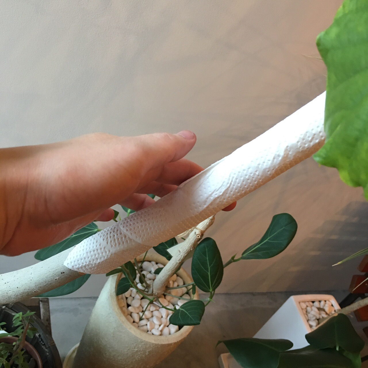 86484E07-CD5F-4E21-B775-B02DA4FF7116