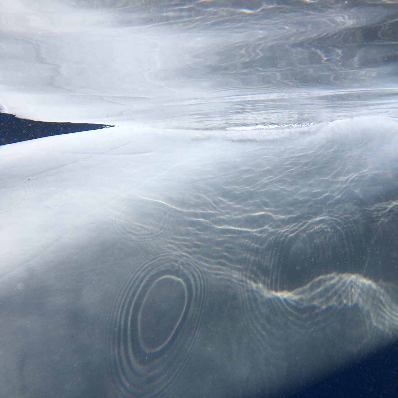 0272A0D0-02E9-4900-862F-6DFD9BE7B720