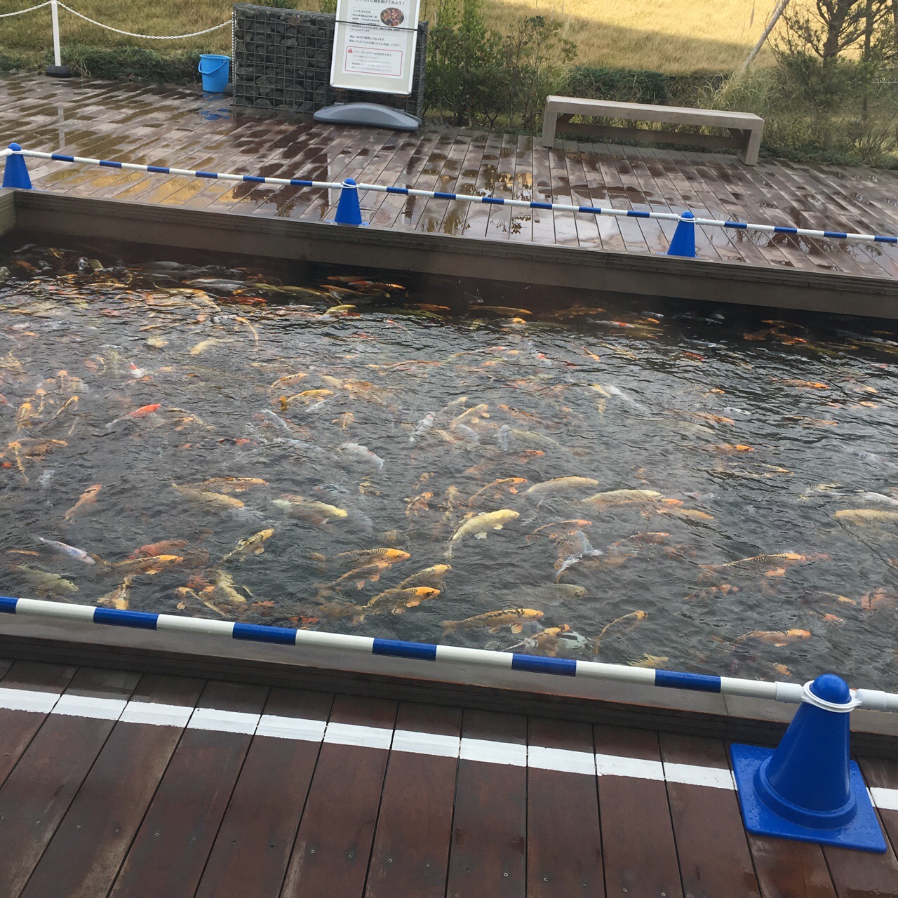 374A122F-448C-4284-B938-0DD3F956F470