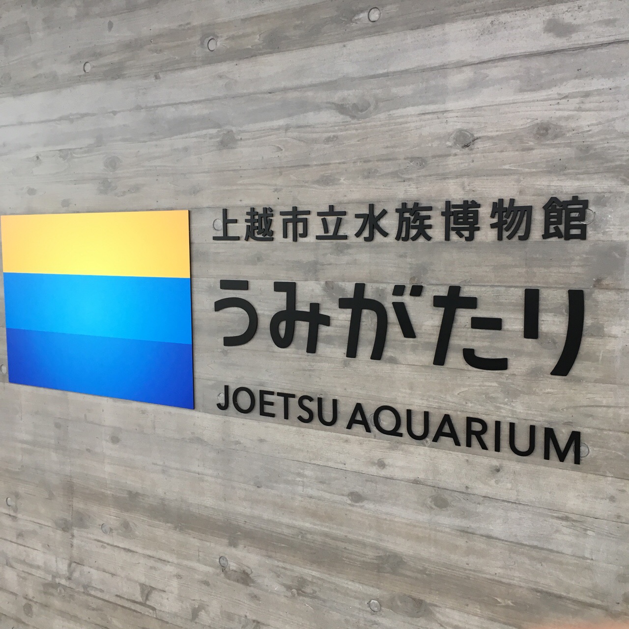 3B49B128-772B-45BB-BBF5-11E7AFBC3A58