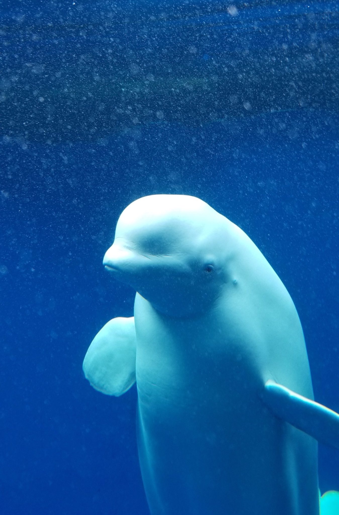 6473CEF0-B83E-4750-9031-9A99647C1962