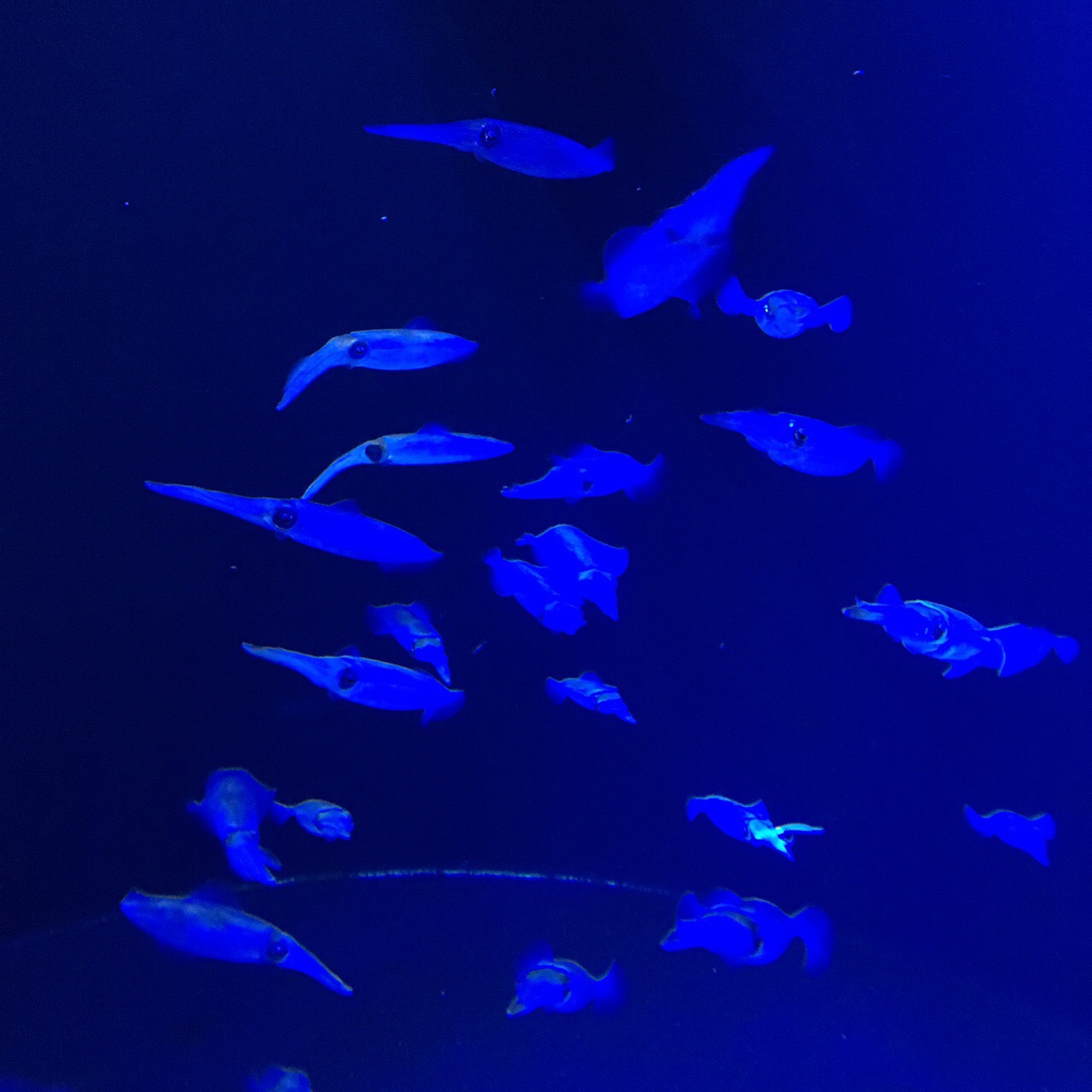 94FF7E92-D147-4281-8D8E-8E8B2E7684AB