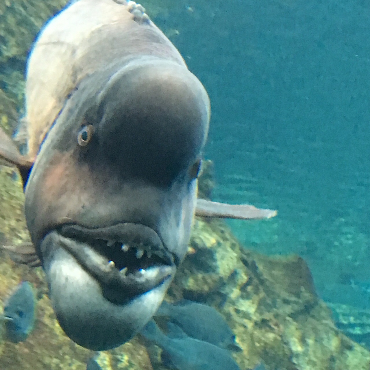 975C8A39-58BA-4C44-AE0A-B9B0398C5E6D