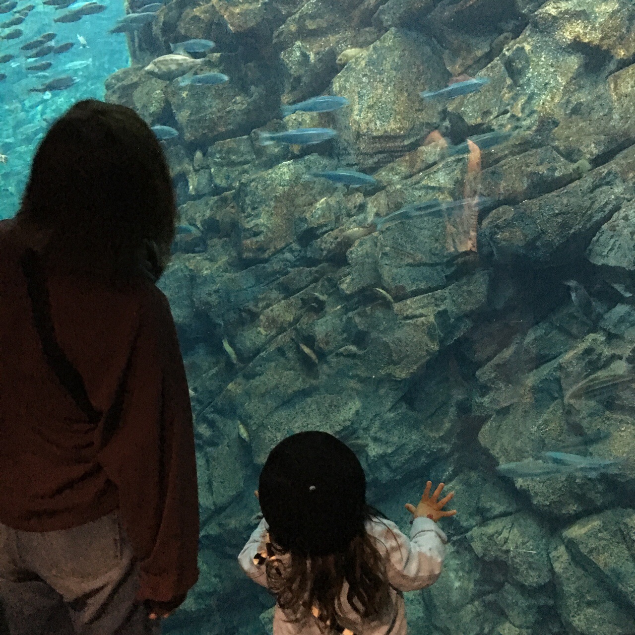 9823138D-0F50-417C-A282-AA7F203FB204