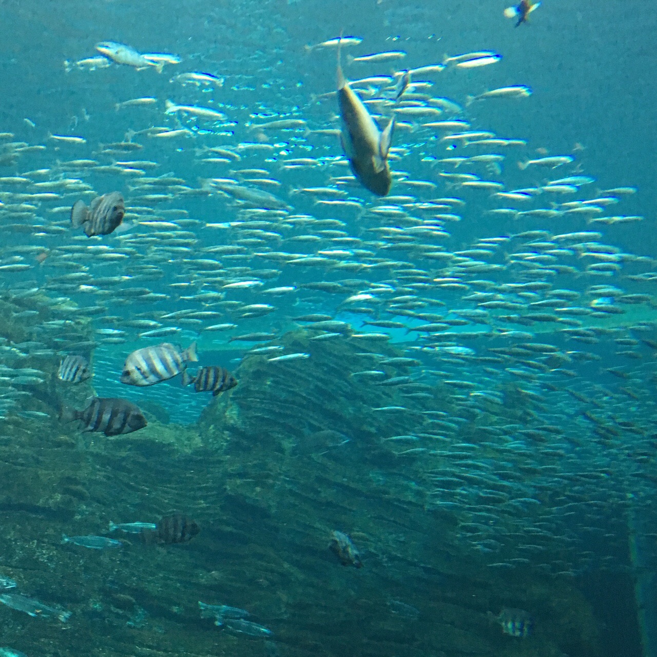 A1EDC240-2B14-4FCD-A984-FFDE6EEB2C78