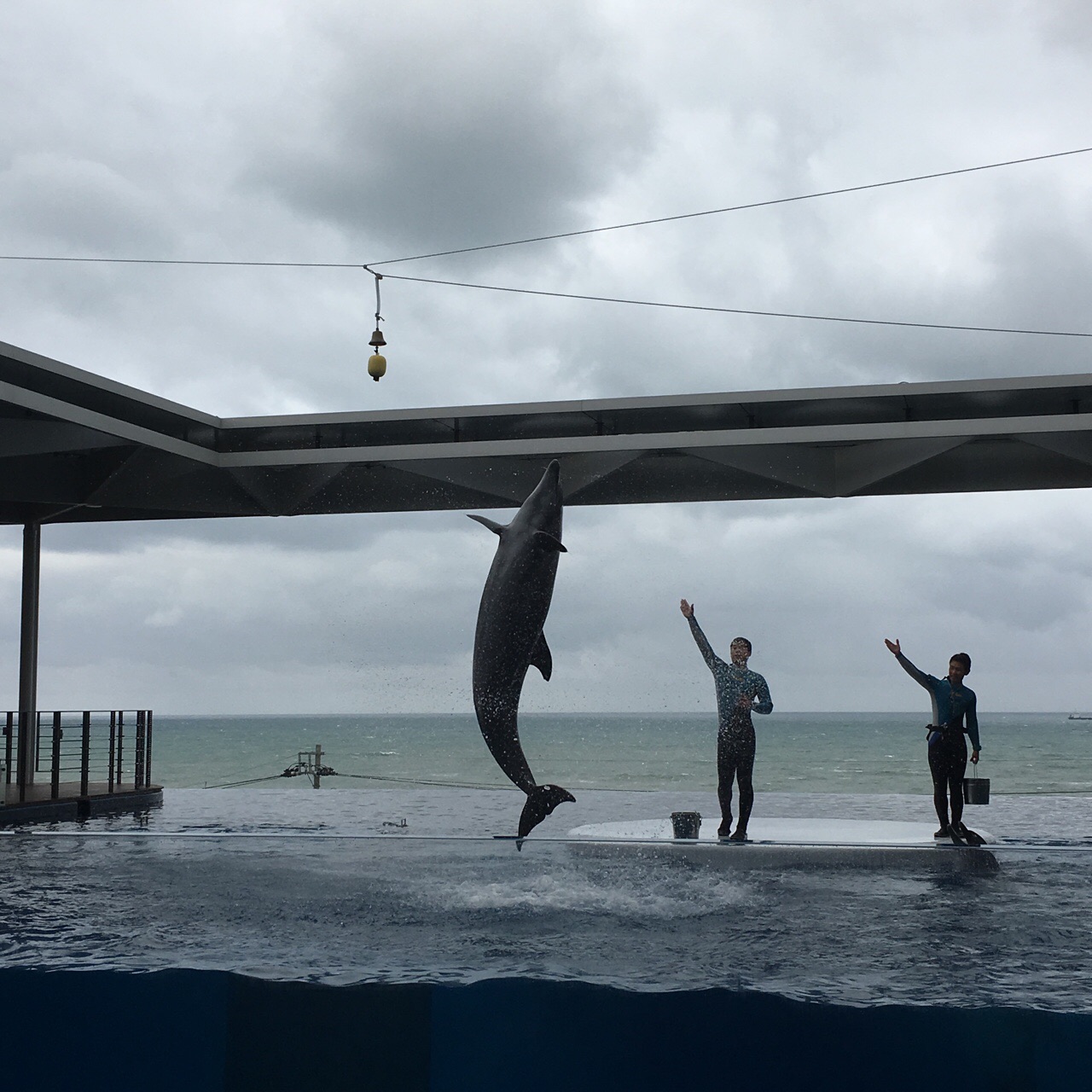 BDD91411-BFE5-45A0-BCBA-AE0704411DB2