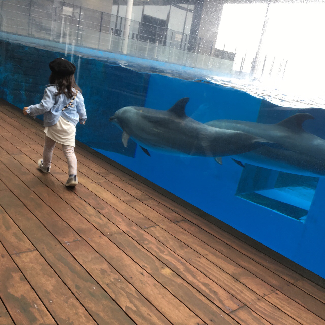 D0885067-BBF6-4D0B-B87B-CBBA5B506A55