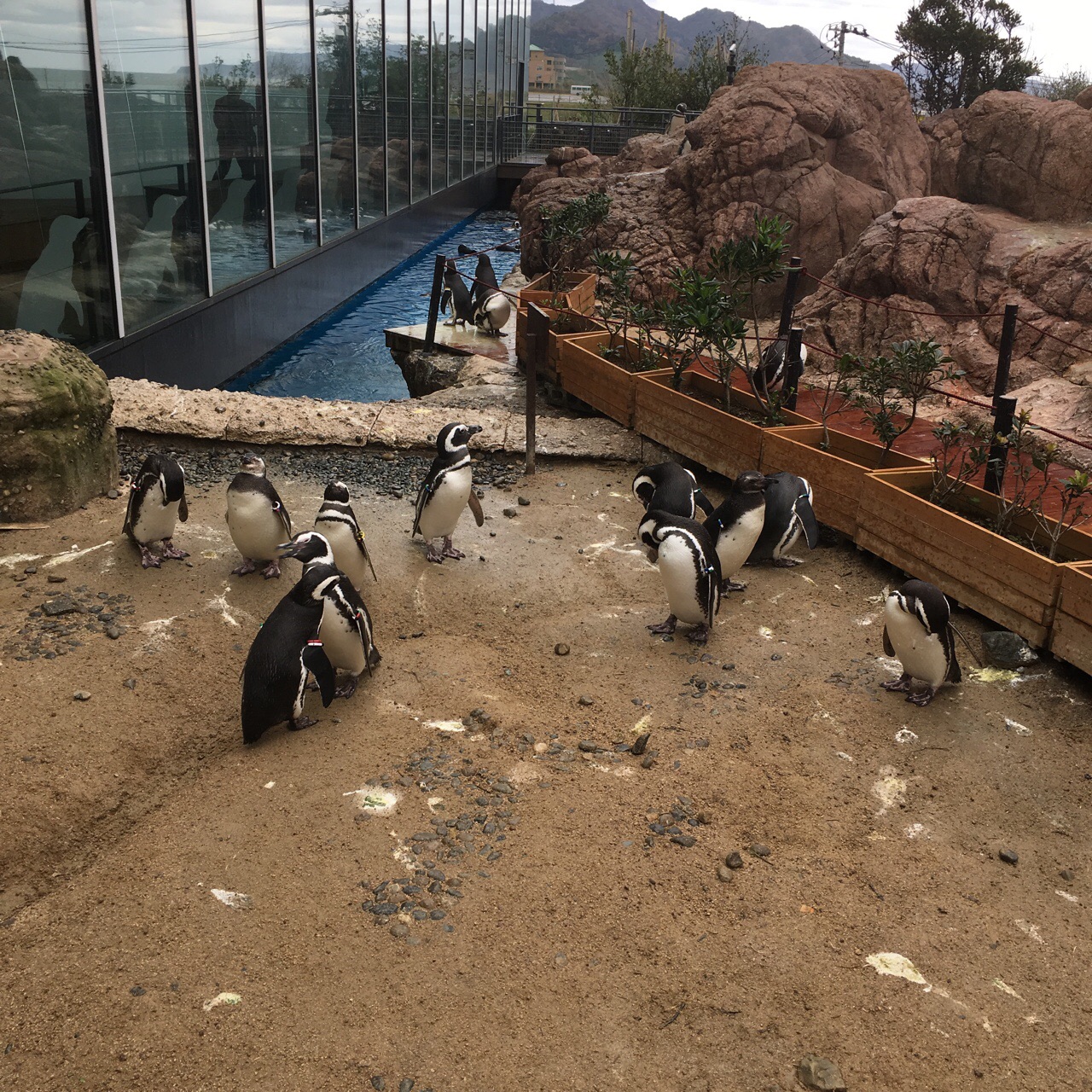 D3B2ABBE-6155-4B73-BD65-5F4BC035AB5D