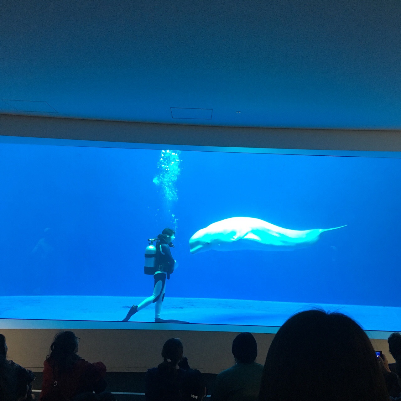 E2865960-CFA2-468B-B042-48FF63A9A834