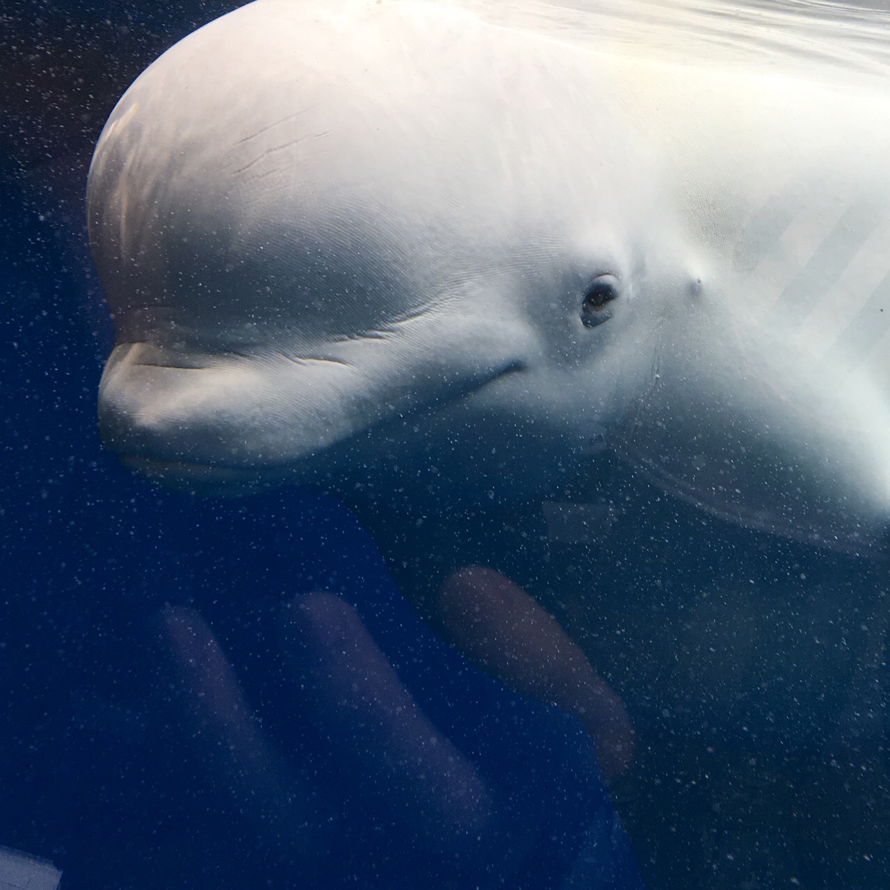 F0149B08-1FEC-4728-9E79-6A3EBF9D8F72