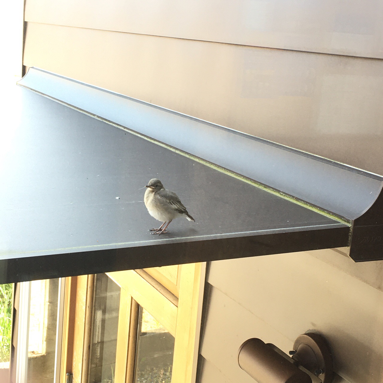 87EC1408-24CD-4B51-A049-45FB0ED38CB3