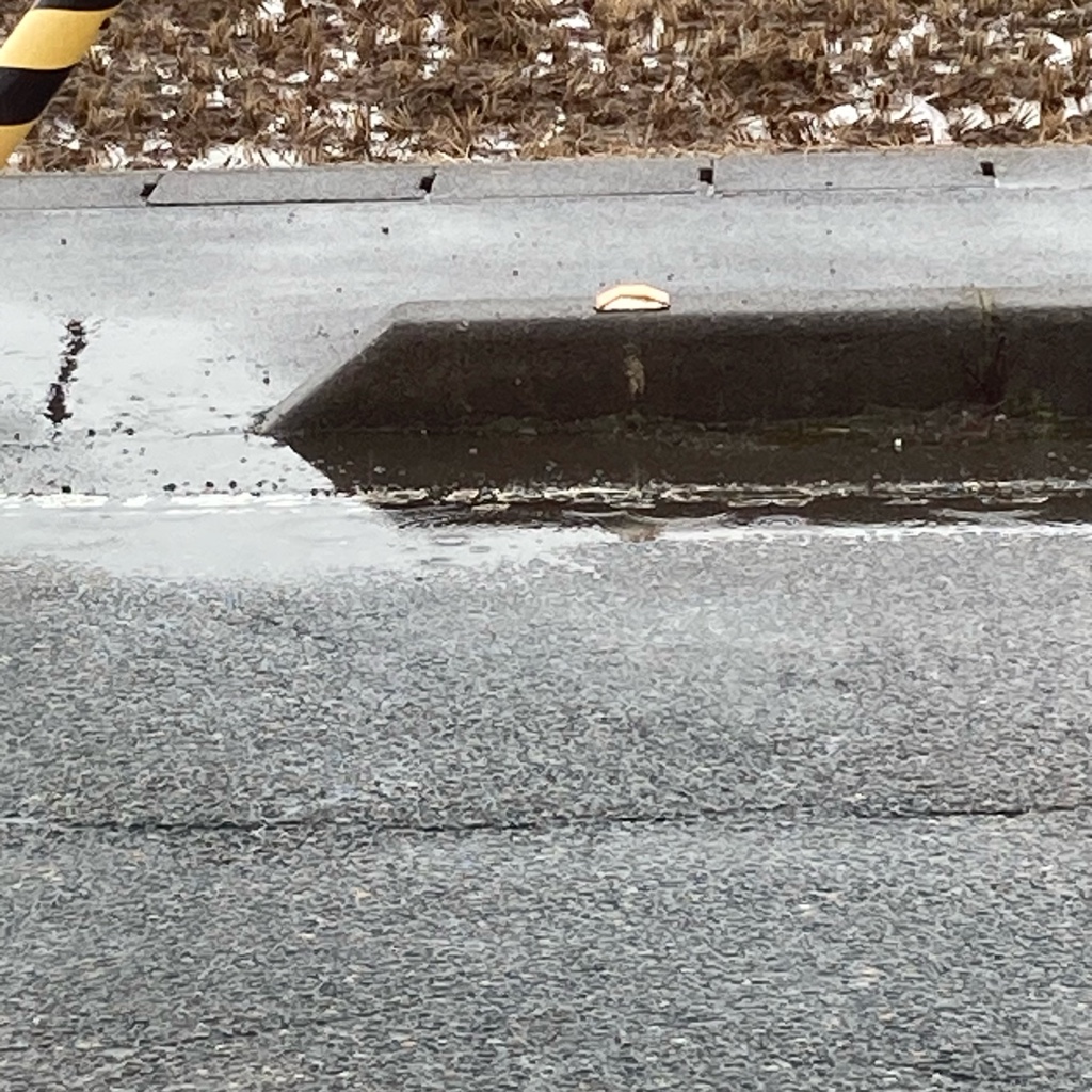 D335A681-B653-4F3E-8EE4-1A6CF0317404